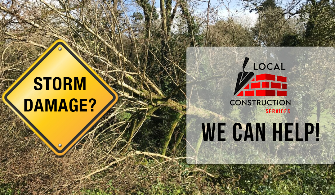 Storm Eowyn Ireland damage, repairs services needed.